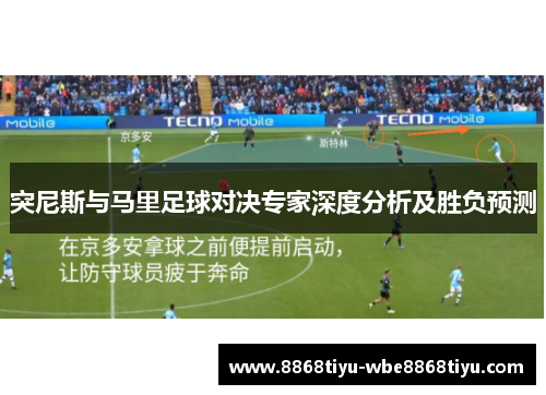 突尼斯与马里足球对决专家深度分析及胜负预测